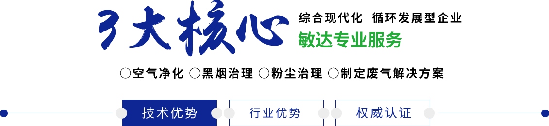 操欧美逼大鸡吧敏达环保科技（嘉兴）有限公司